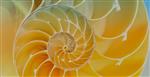 Golden Ratio 3 